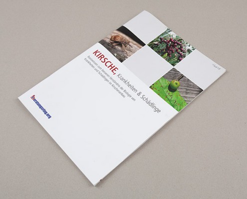 Beratungsring Folder
